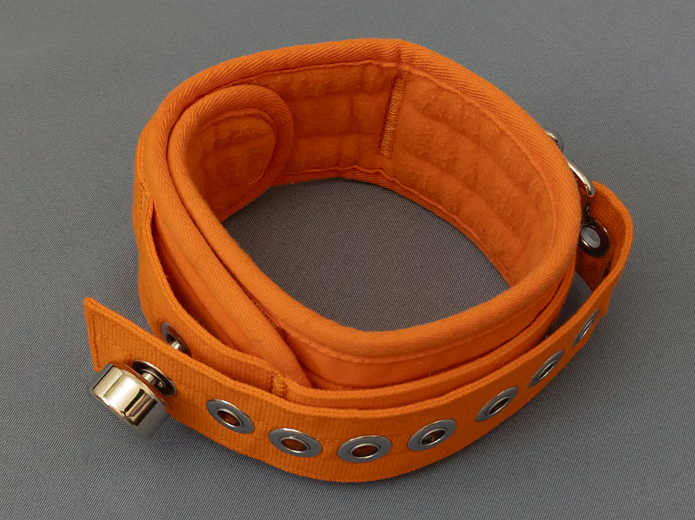 Ошейник (4/10)