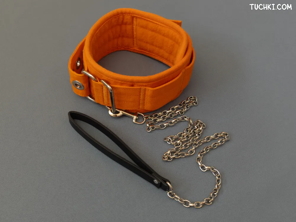 Ярко-оранжевый ошейник