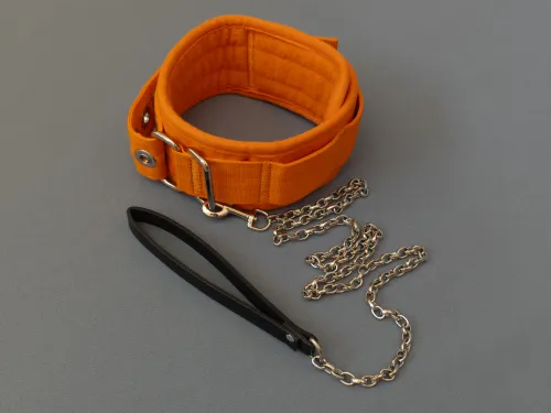 Ярко-оранжевый ошейник