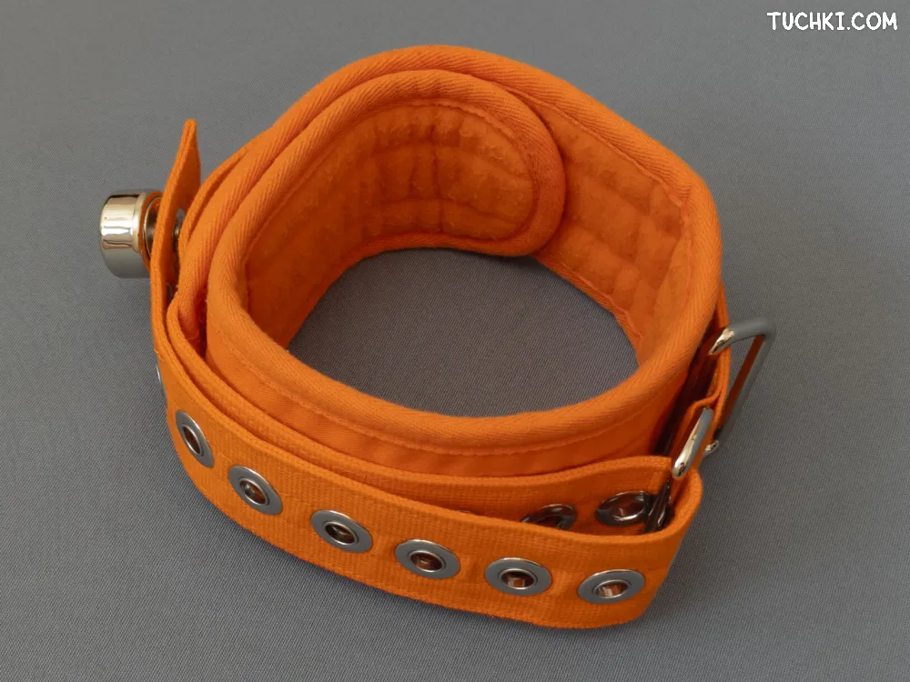 Ярко-оранжевый ошейник