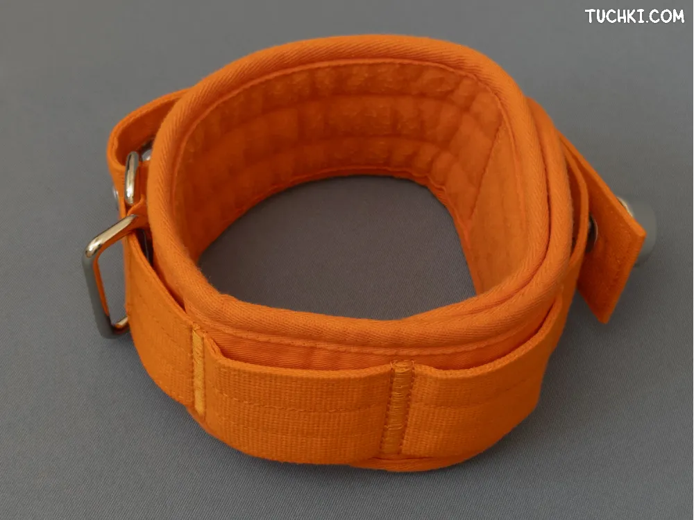 Ярко-оранжевый ошейник